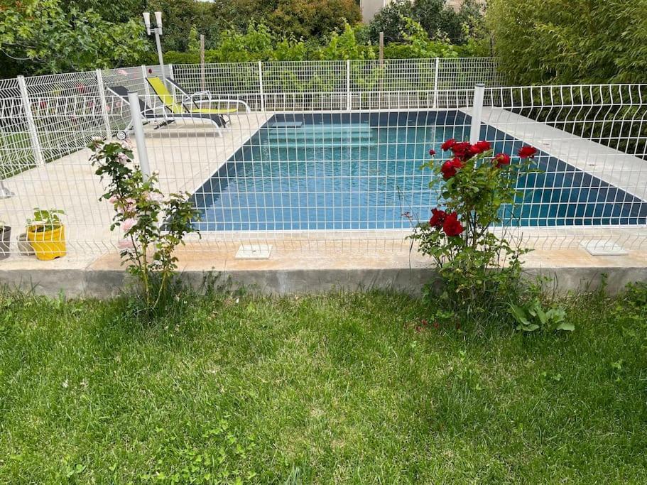 Villa Climatise Avec Piscine Et Jacuzzi Carpentras Eksteriør bilde